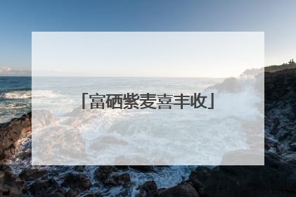 富硒紫麦喜丰收