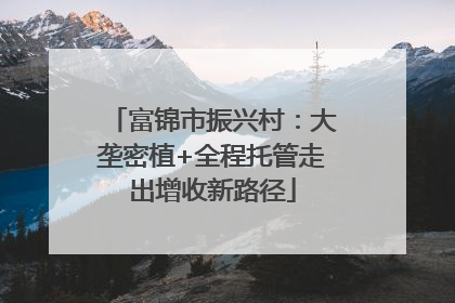 富锦市振兴村：大垄密植+全程托管走出增收新路径