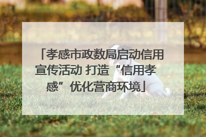 孝感市政数局启动信用宣传活动 打造“信用孝感”优化营商环境