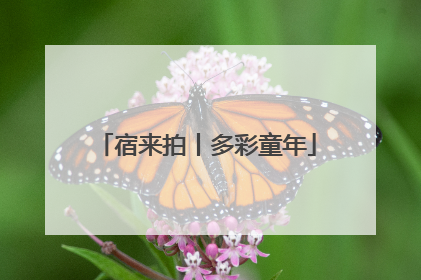 宿来拍丨多彩童年