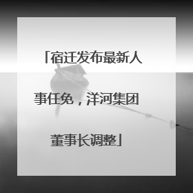 宿迁发布最新人事任免，洋河集团董事长调整