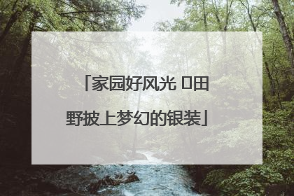 家园好风光 ⎮田野披上梦幻的银装