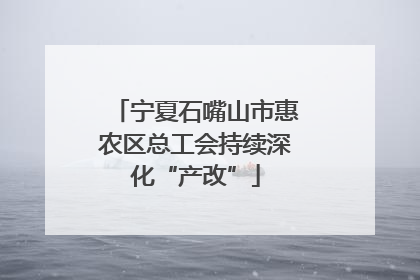 宁夏石嘴山市惠农区总工会持续深化“产改”