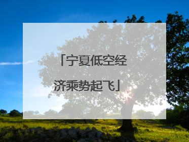 宁夏低空经济乘势起飞
