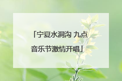 宁夏水洞沟 九点音乐节激情开唱