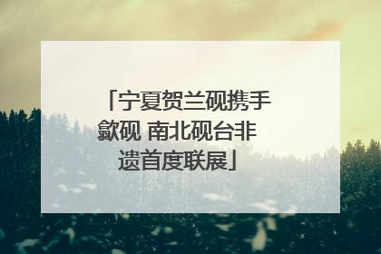 宁夏贺兰砚携手歙砚 南北砚台非遗首度联展