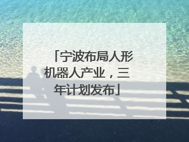 宁波布局人形机器人产业，三年计划发布