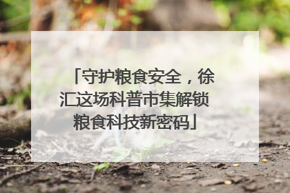 守护粮食安全，徐汇这场科普市集解锁粮食科技新密码