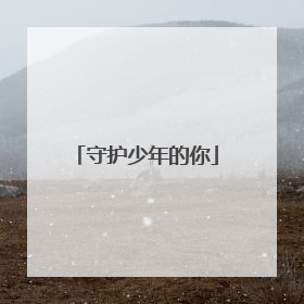 守护少年的你