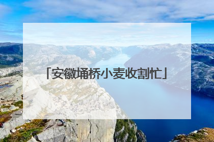 安徽埇桥小麦收割忙