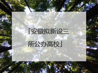 安徽拟新设三所公办高校