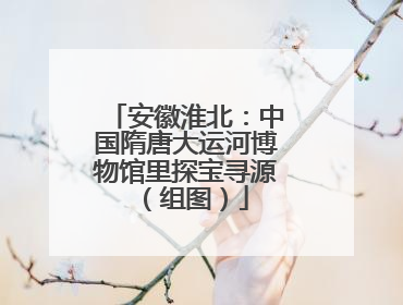 安徽淮北：中国隋唐大运河博物馆里探宝寻源（组图）