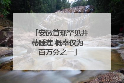 安徽首现罕见并蒂睡莲 概率仅为百万分之一