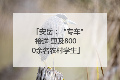 安岳：“专车”接送 惠及8000余名农村学生