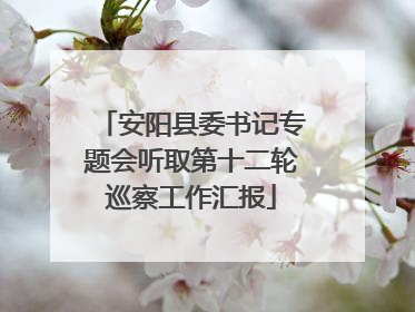 安阳县委书记专题会听取第十二轮巡察工作汇报