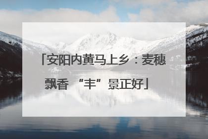 安阳内黄马上乡：麦穗飘香 “丰”景正好