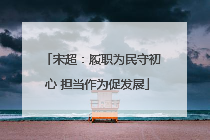 宋超：履职为民守初心 担当作为促发展