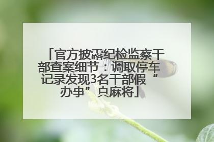 官方披露纪检监察干部查案细节：调取停车记录发现3名干部假“办事”真麻将