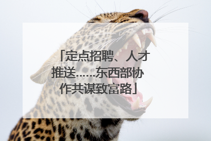 定点招聘、人才推送……东西部协作共谋致富路