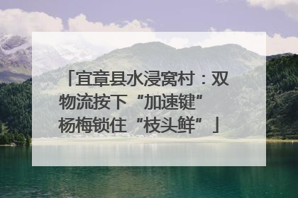 宜章县水浸窝村：双物流按下“加速键” 杨梅锁住“枝头鲜”