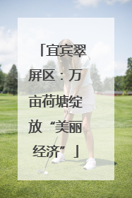 宜宾翠屏区：万亩荷塘绽放“美丽经济”