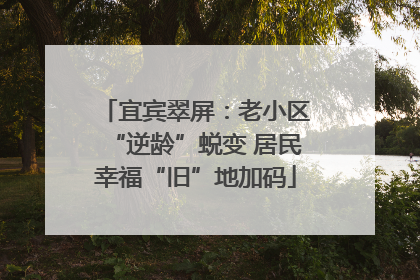 宜宾翠屏：老小区“逆龄”蜕变 居民幸福“旧”地加码
