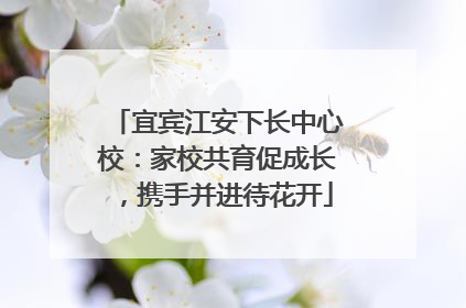 宜宾江安下长中心校：家校共育促成长，携手并进待花开