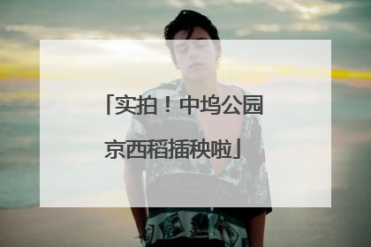 实拍！中坞公园京西稻插秧啦