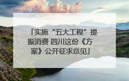 实施“五大工程”提振消费 四川这份《方案》公开征求意见