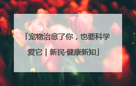 宠物治愈了你，也要科学爱它｜新民·健康新知