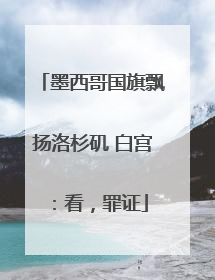 墨西哥国旗飘扬洛杉矶 白宫：看，罪证