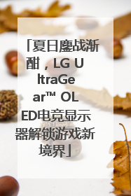 夏日鏖战渐酣，LG UltraGear™ OLED电竞显示器解锁游戏新境界
