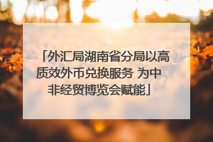 外汇局湖南省分局以高质效外币兑换服务 为中非经贸博览会赋能