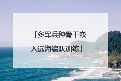 多军兵种骨干嵌入远海编队训练