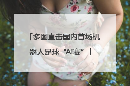 多图直击国内首场机器人足球“AI赛”