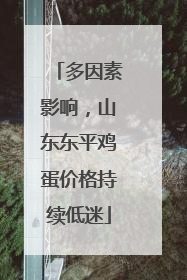 多因素影响，山东东平鸡蛋价格持续低迷