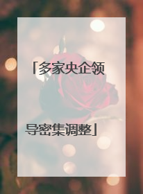 多家央企领导密集调整