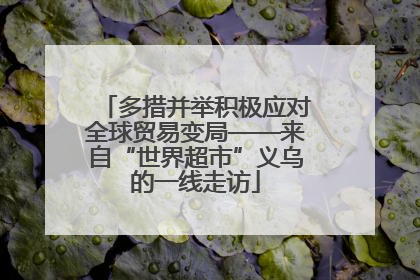 多措并举积极应对全球贸易变局——来自“世界超市”义乌的一线走访