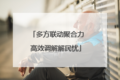 多方联动聚合力 高效调解解民忧