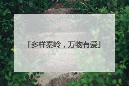 多样秦岭，万物有爱