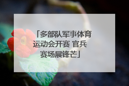 多部队军事体育运动会开赛 官兵赛场展锋芒
