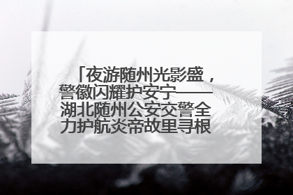 夜游随州光影盛，警徽闪耀护安宁——湖北随州公安交警全力护航炎帝故里寻根节夜游活动侧记