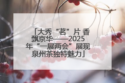 大秀“茗”片 香飘京华——2025年“一展两会”展现泉州茶独特魅力