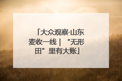 大众观察·山东麦收一线｜“无形田”里有大账