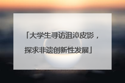 大学生寻访沮漳皮影，探求非遗创新性发展