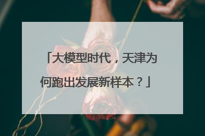 大模型时代，天津为何跑出发展新样本？