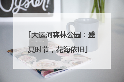 大运河森林公园：盛夏时节，花海依旧