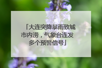 大连突降暴雨致城市内涝，气象台连发多个预警信号