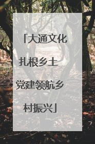 大通文化扎根乡土 党建领航乡村振兴