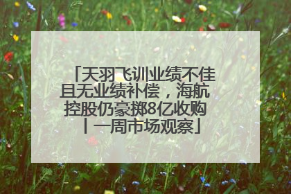 天羽飞训业绩不佳且无业绩补偿，海航控股仍豪掷8亿收购丨一周市场观察